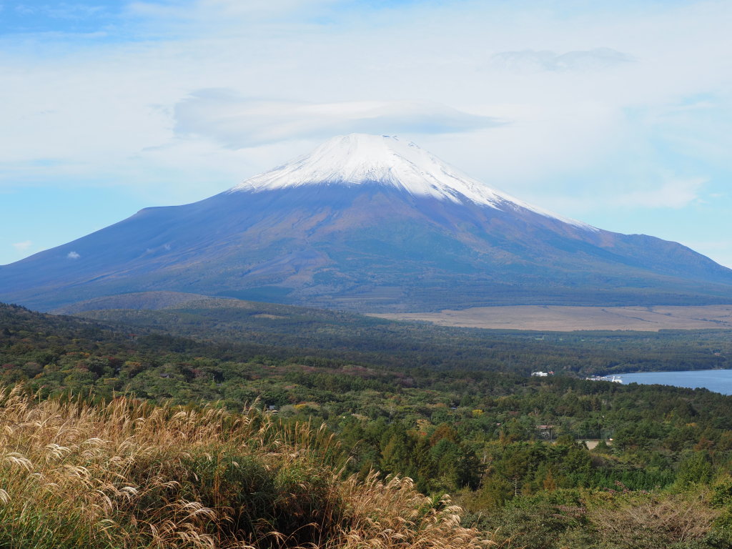 10/18 �P�_�ƕx�m�R