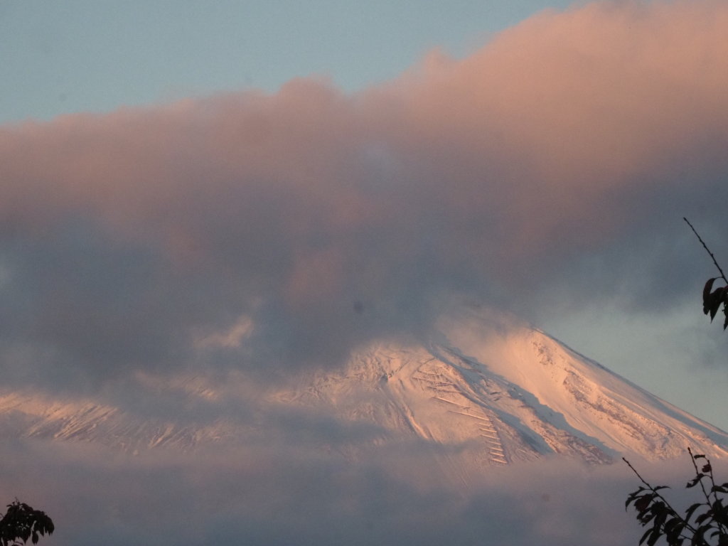 10/21 ���Ă�