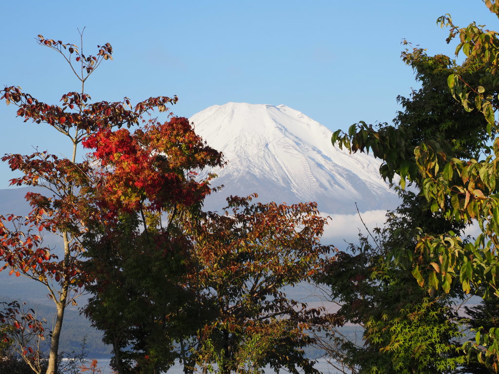 10/21 �_�L����