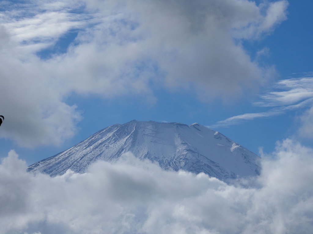 10/22 ��u�̕x�m�R