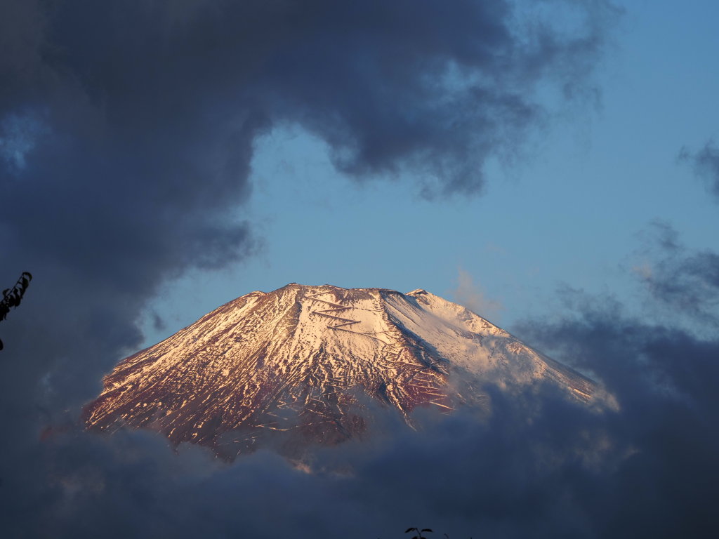 10/24 ��u�̕x�m�R