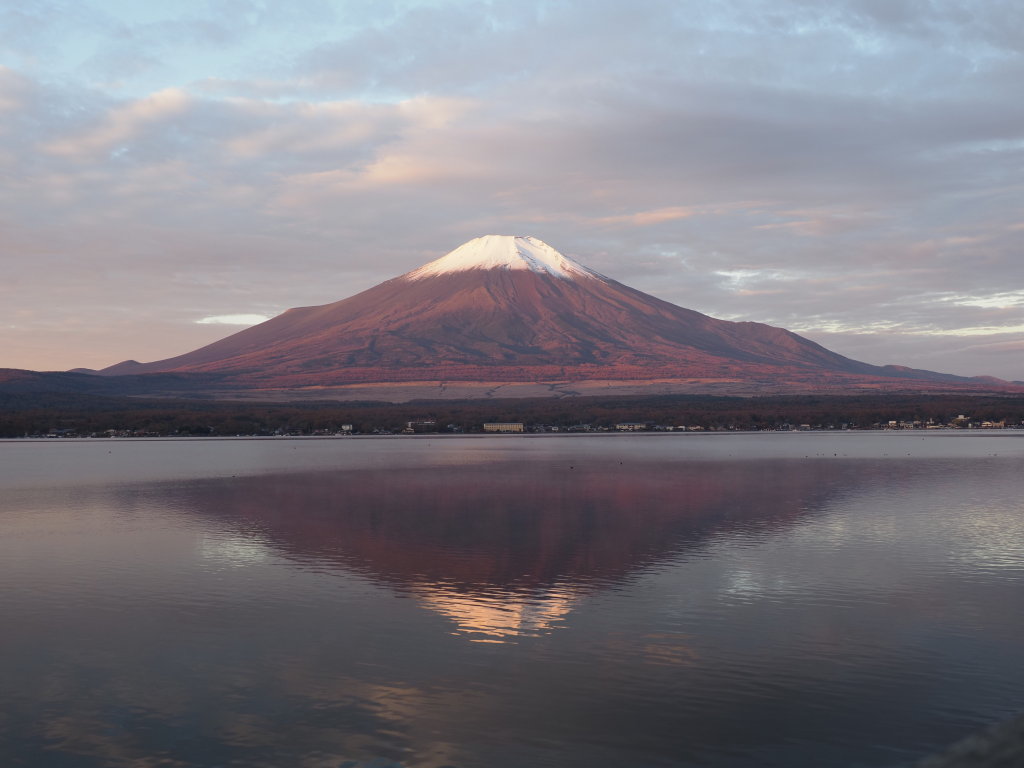 11/6 ����������x�m�R