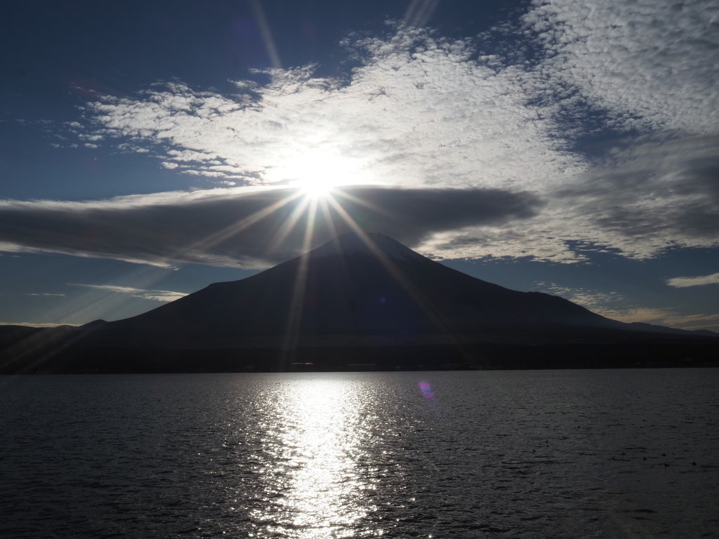 11/6 �_�̒��̃_�C��