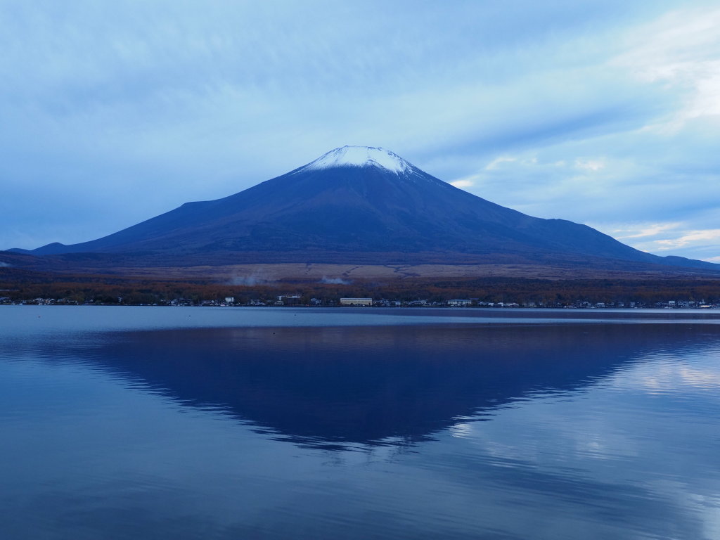 11/8 �J�オ��̕x�m�R