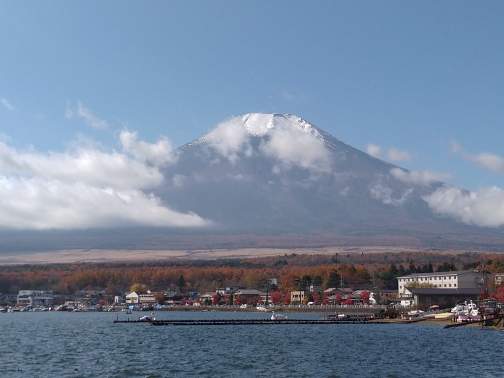 11/8 �����n�߂��x�m�R