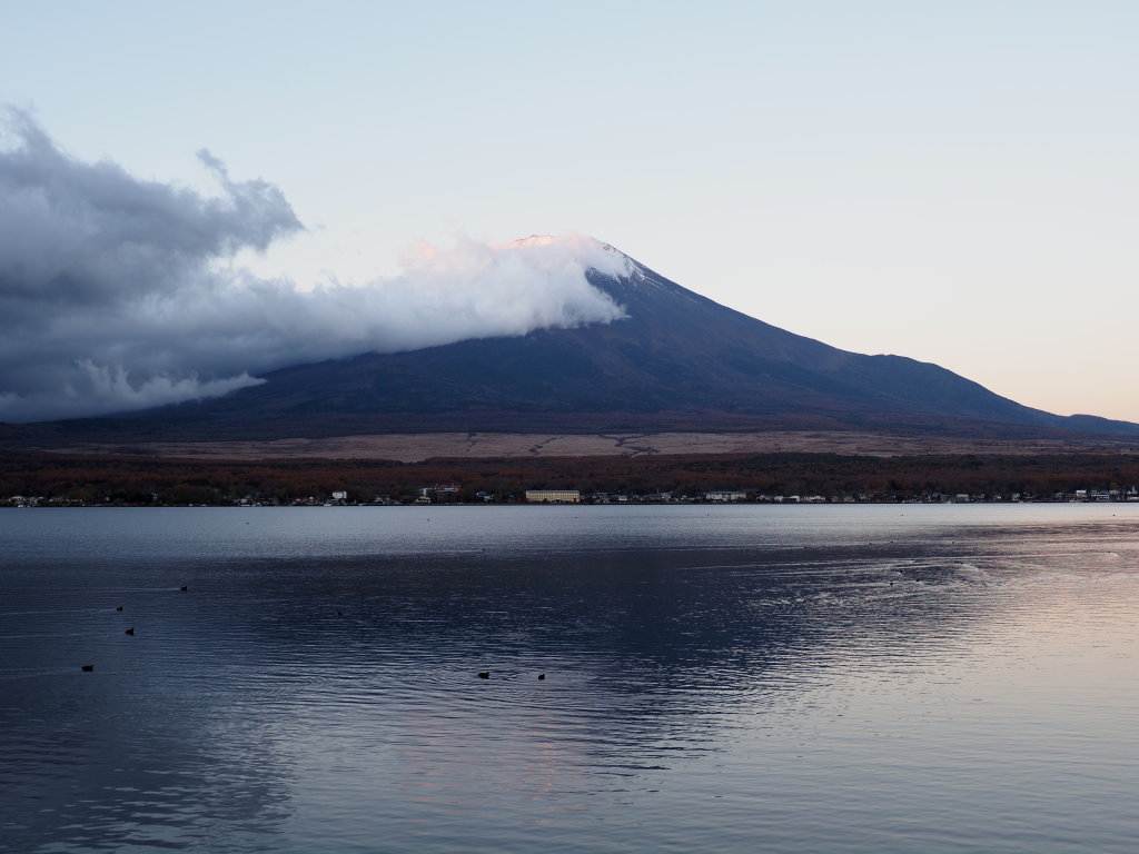 11/9 ���Ă��̕x�m�R