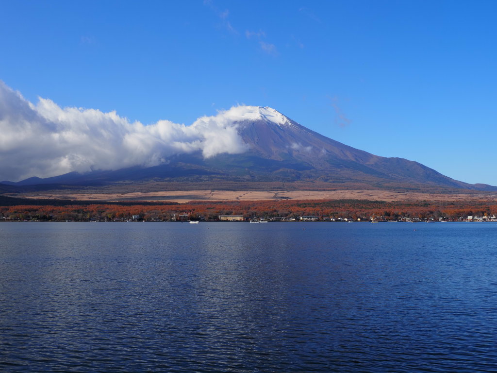 11/8 �����n�߂��x�m�R