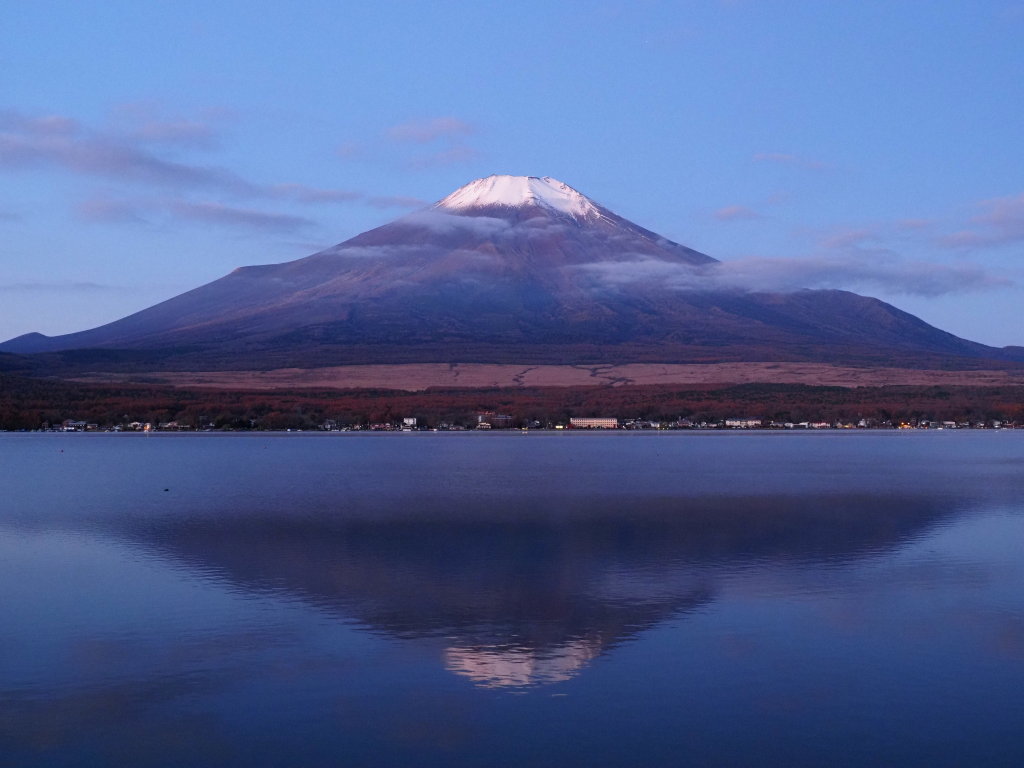 11/11 �t���x�m