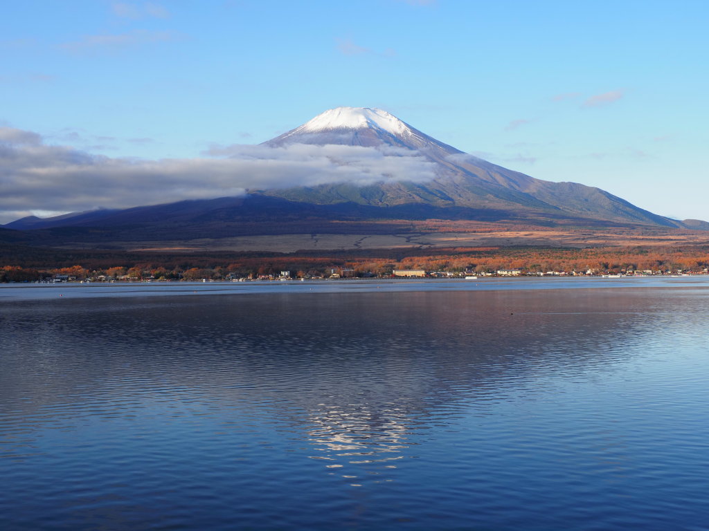 11/11 �����n�߂�