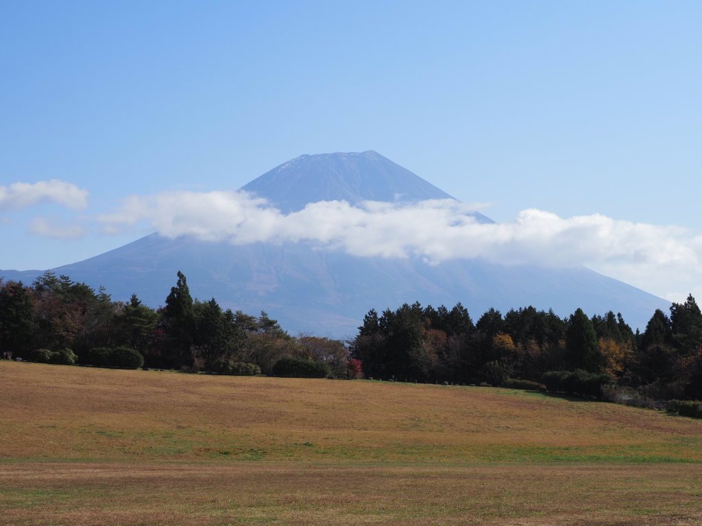 11/12 ��������̕x�m�R