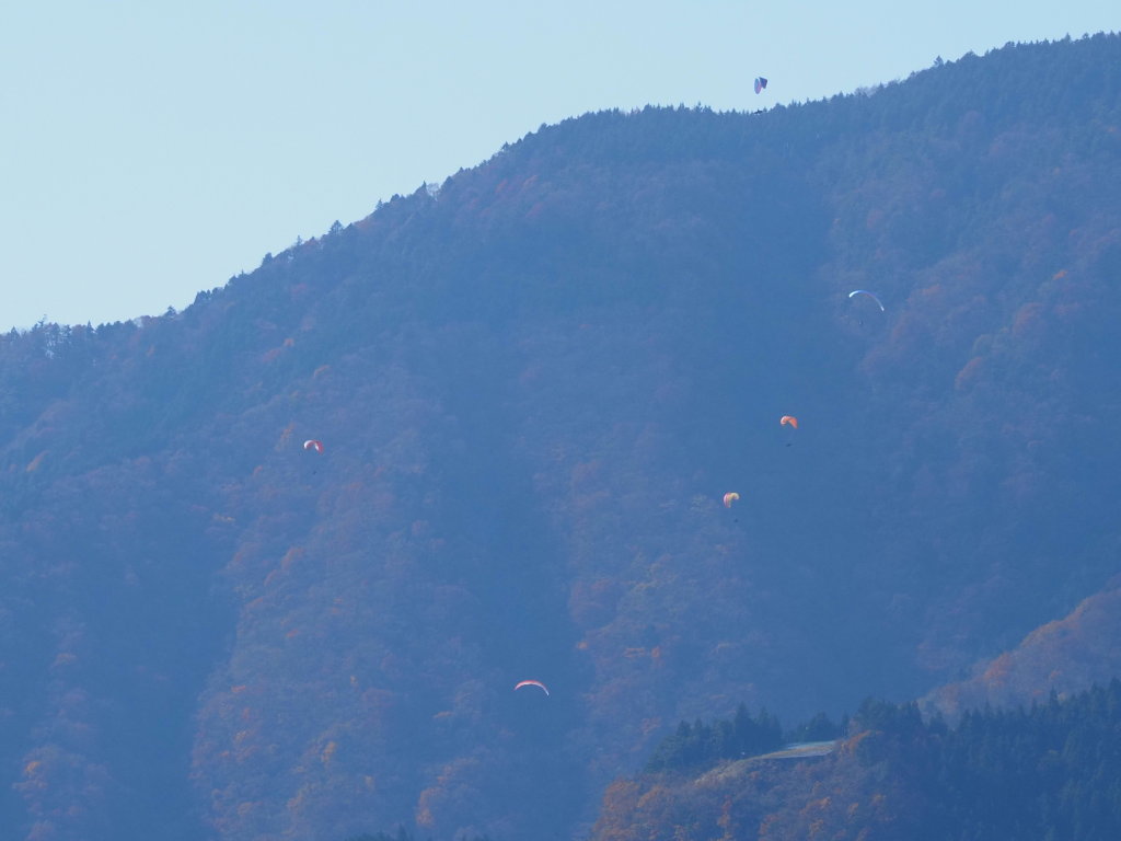 11/12 �p���Z�[��