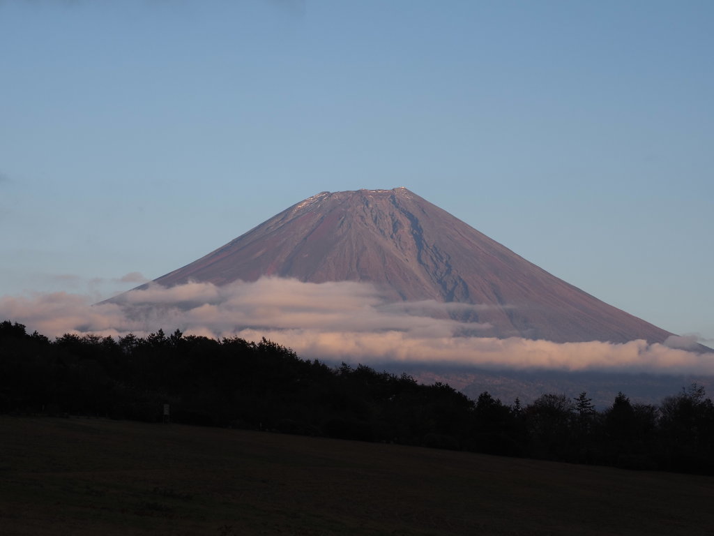 11/12 �[�Ă��̕x�m�R