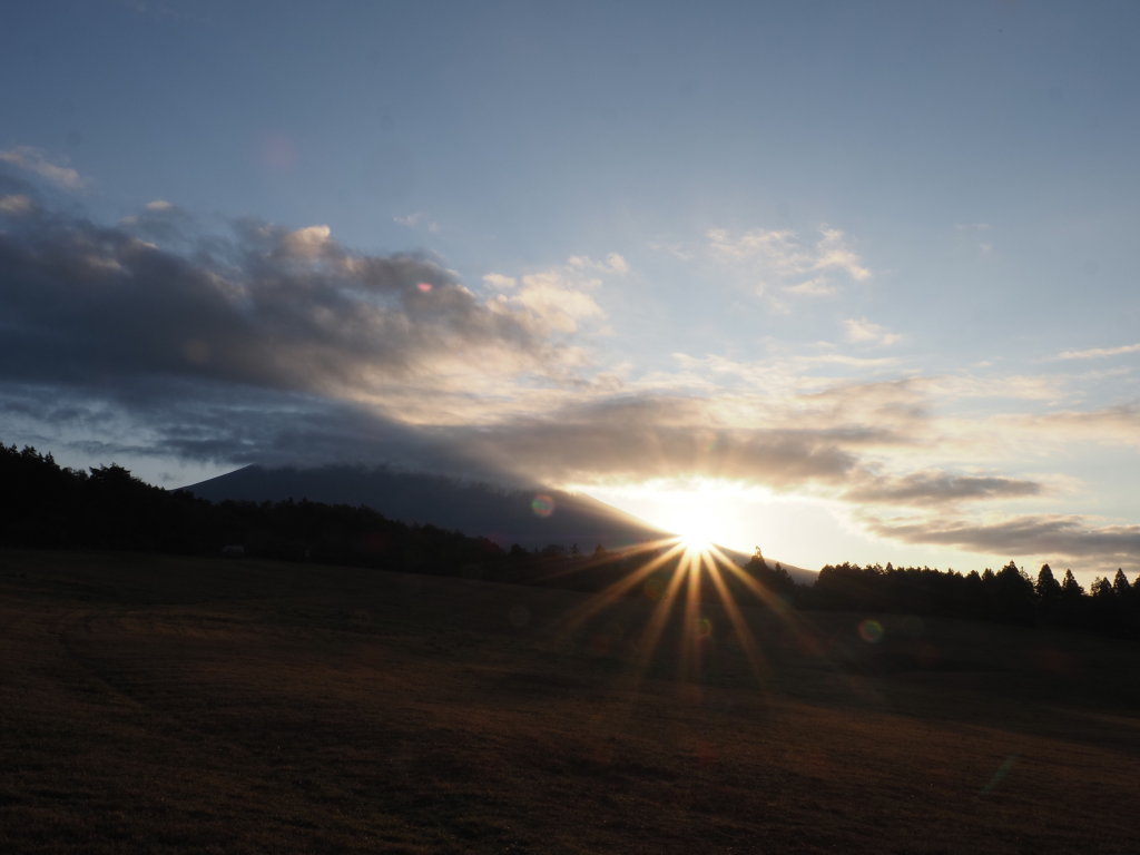 11/13 ��������������̏o