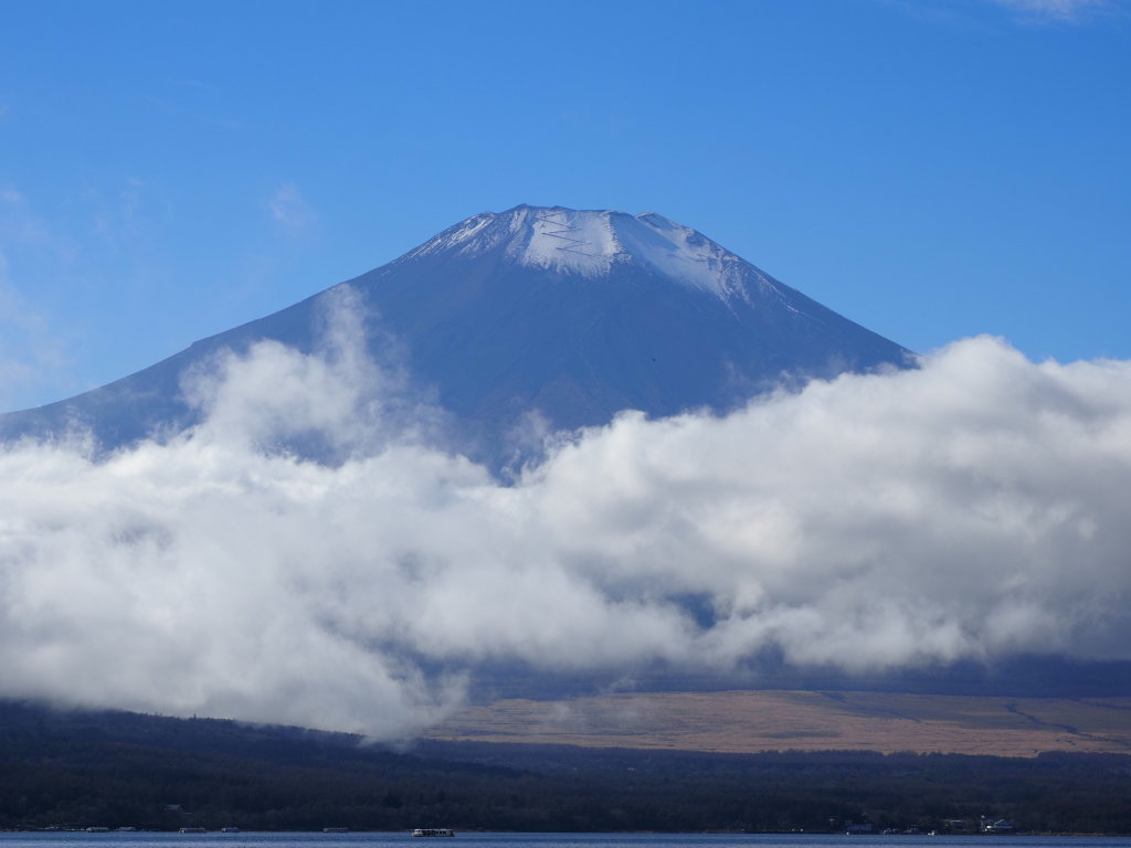 11/25 ��u�̕x�m�R