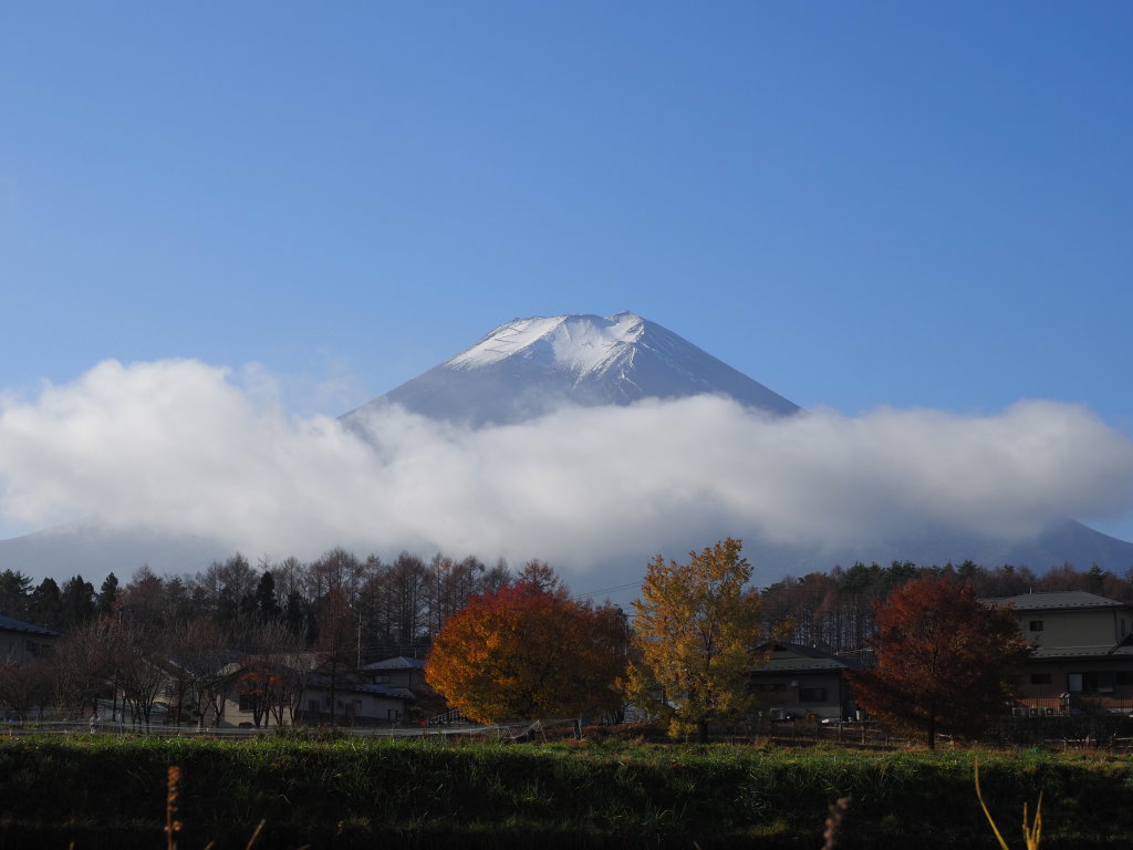 11/26 �_�L����