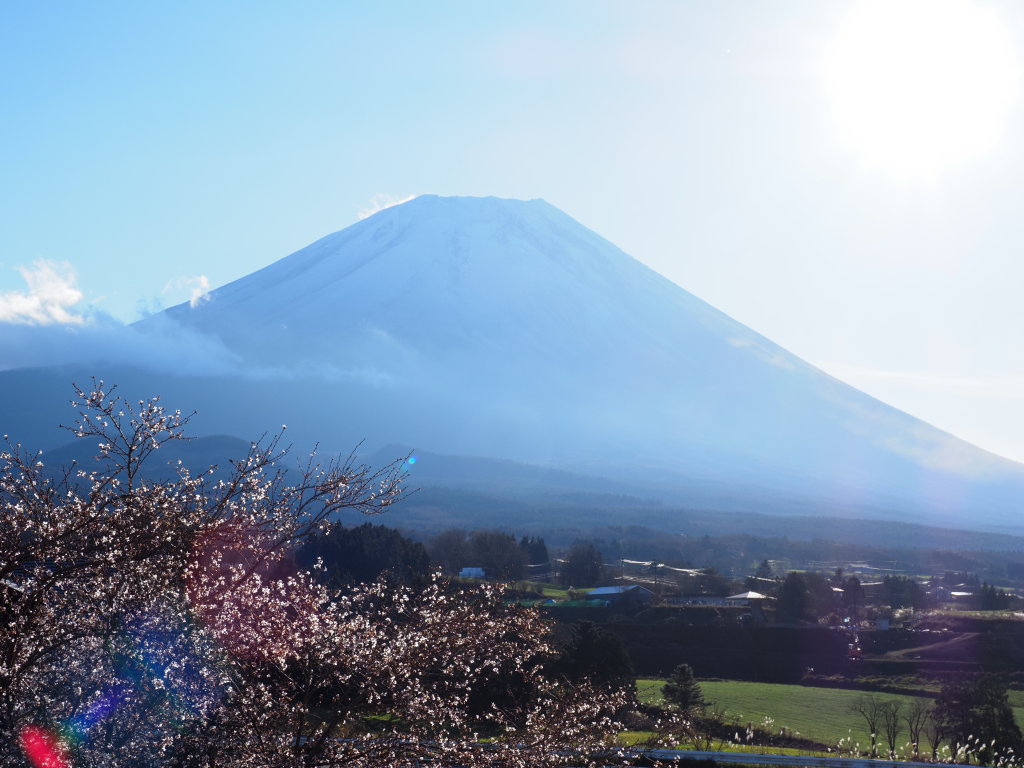 11/28 ���ƕx�m�R