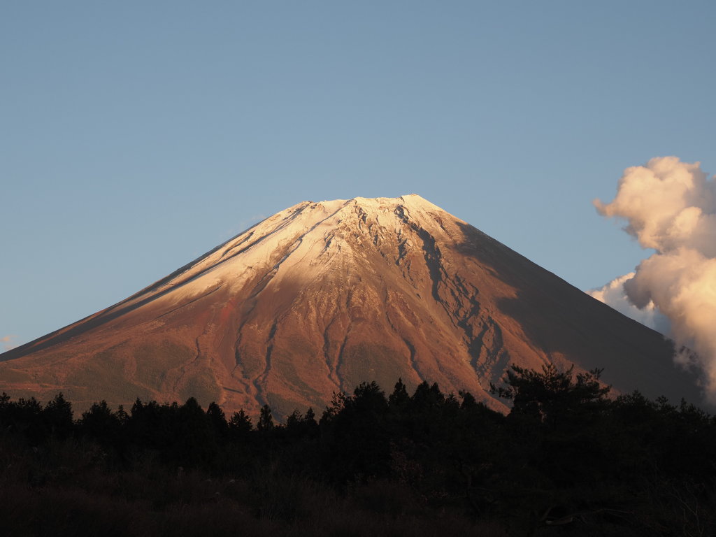 11/28 ��Ă��̕x�m�R