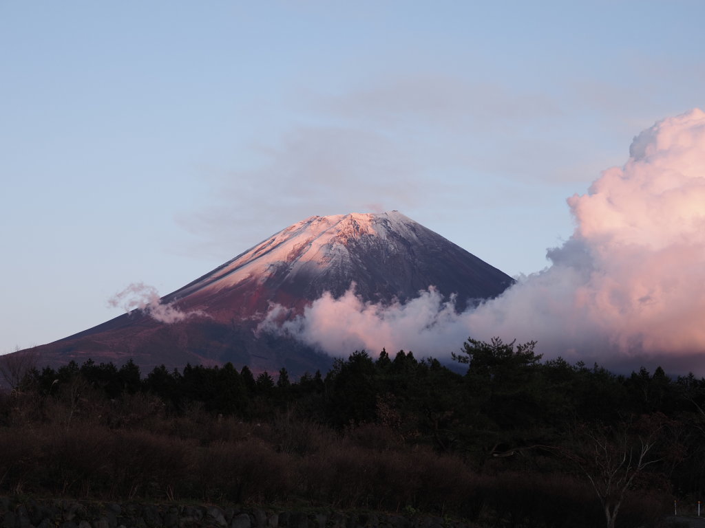 11/28 ��x�Ă��̕x�m�R