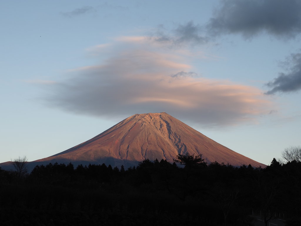 11/29 �P�_�Ɨ[�Ă�