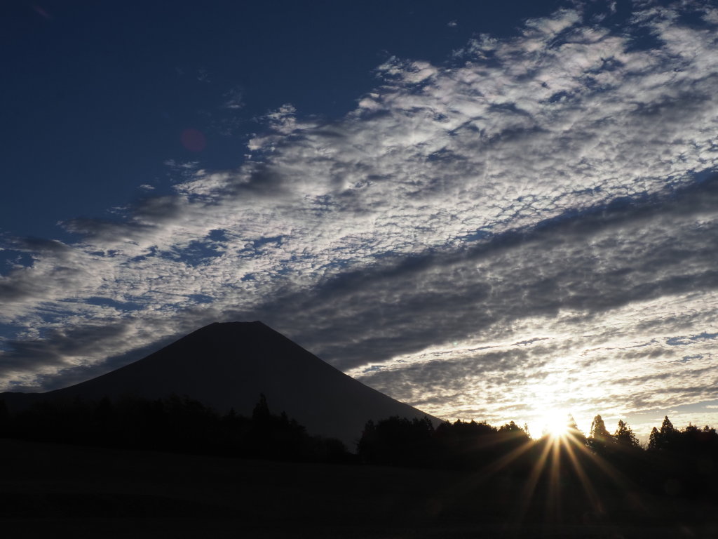 11/30 �_�Ɠ��̏o