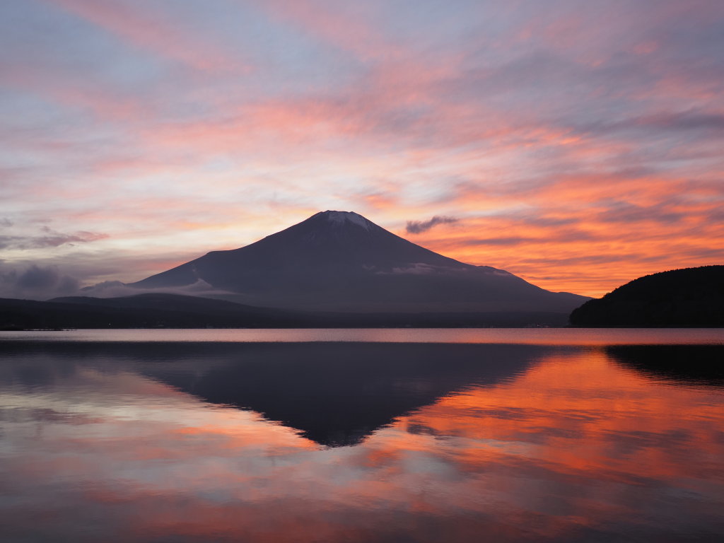 12/09 �[�g�̗[�Ă�