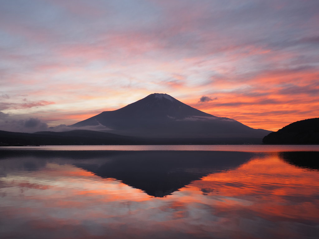 �[�g�̗[�Ă�(Olympus �d-�M�P�U)