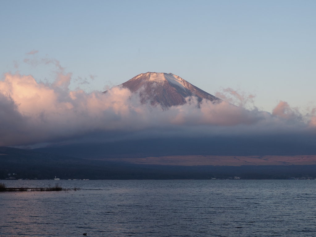 12/10 ���Ă��̕x�m�R