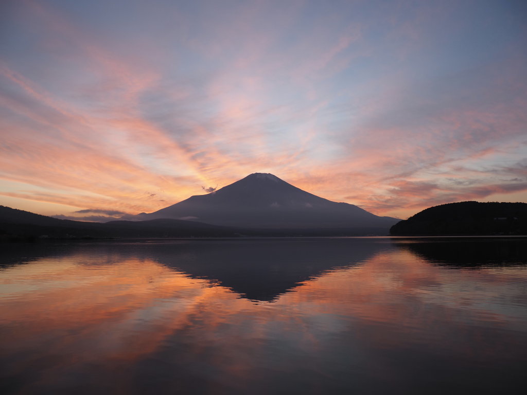 12/10 �I�����W�F�̗[�Ă�