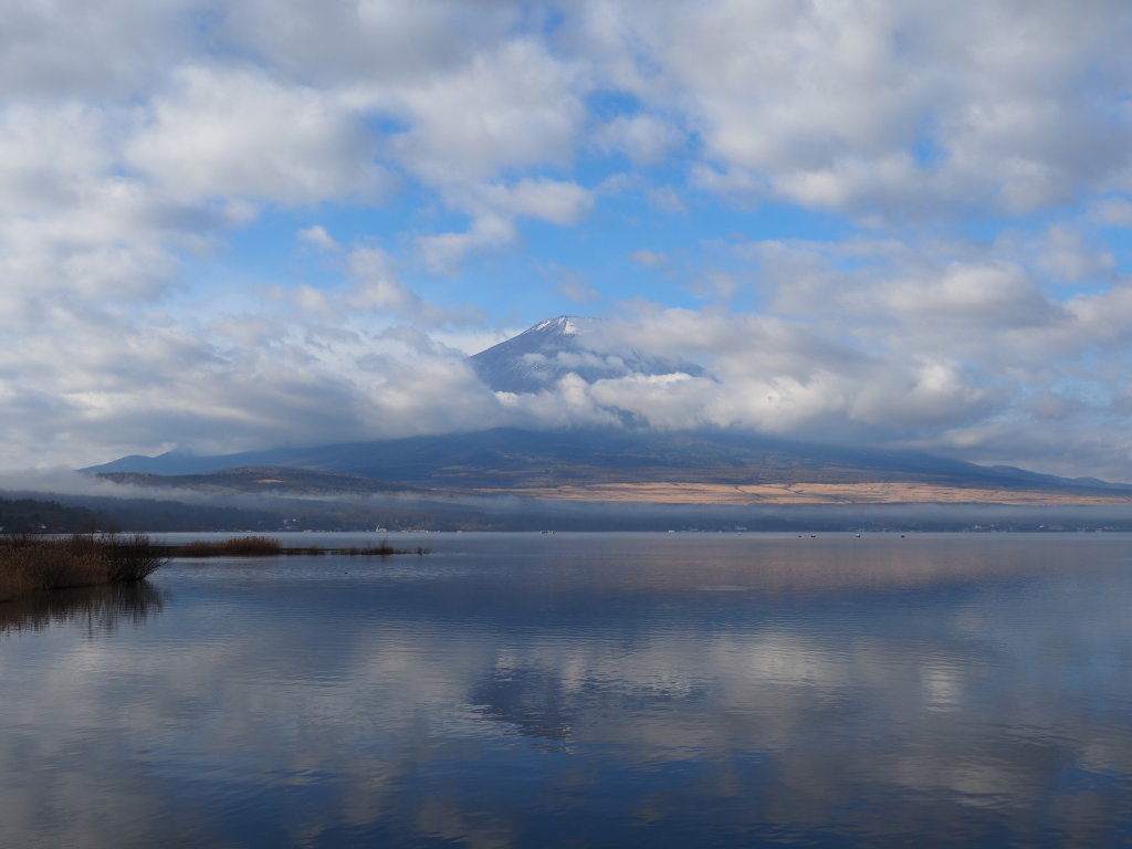 12/11 �_�ƕx�m�R