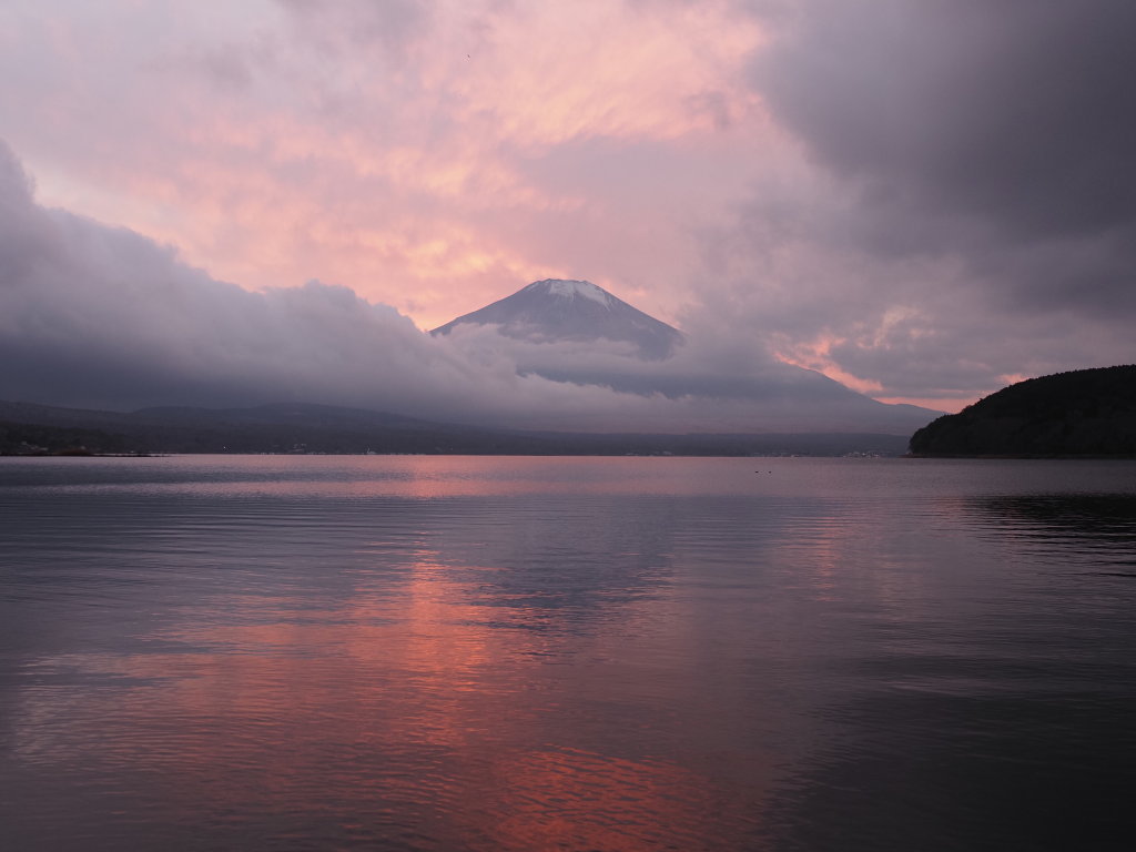 12/11 �ق�̂�[�Ă�(2)