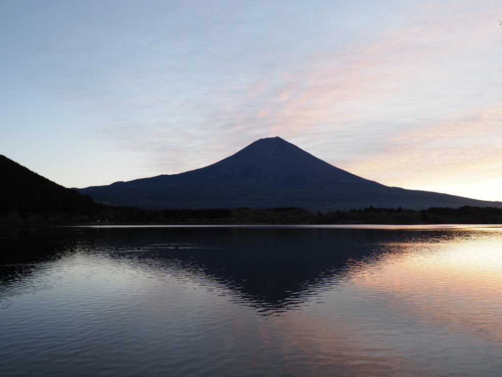 12/15 ���Ă��̕x�m�R