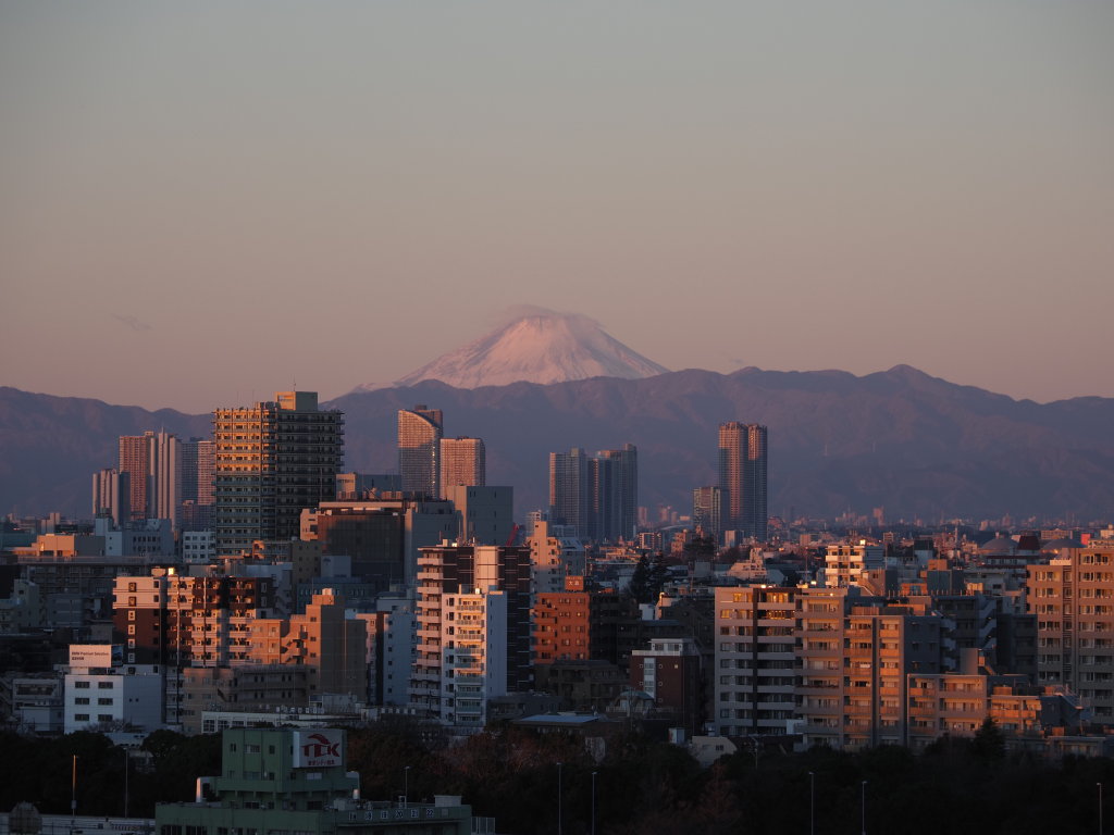 1/1 �����̏o