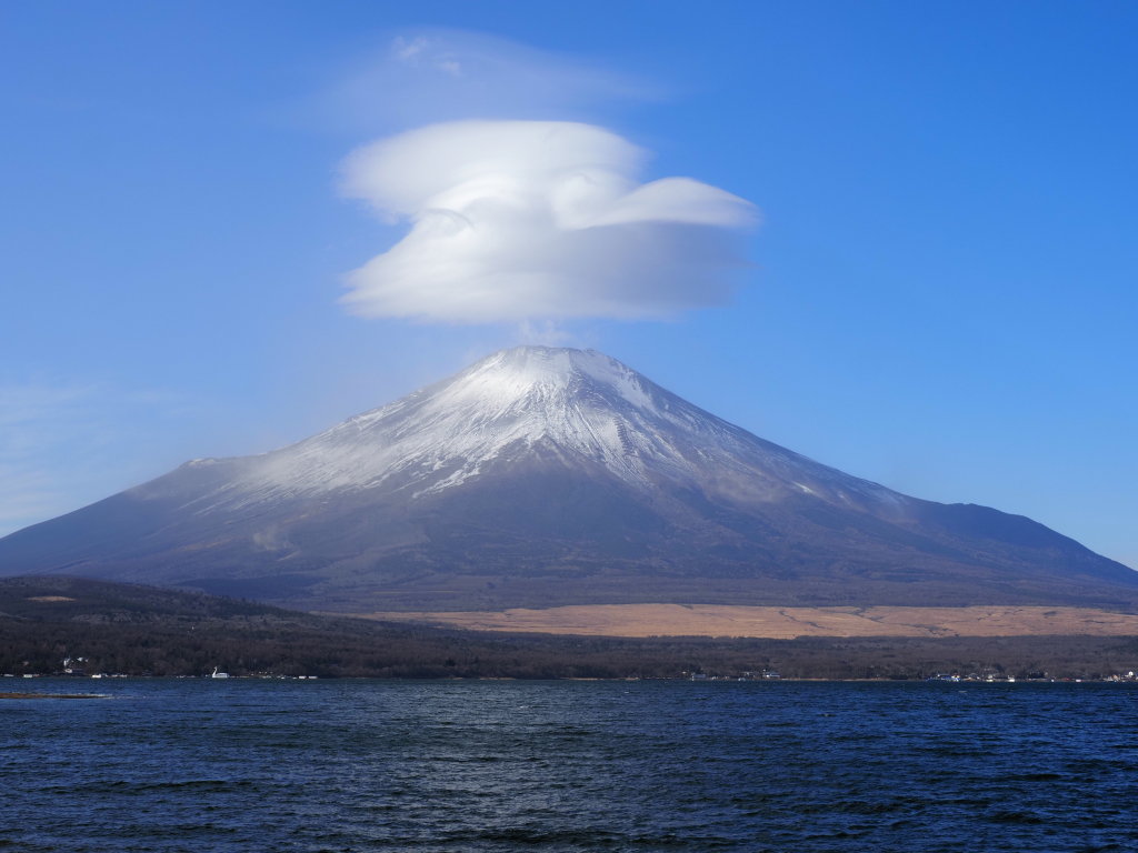 1/7 �_�ƕx�m�R