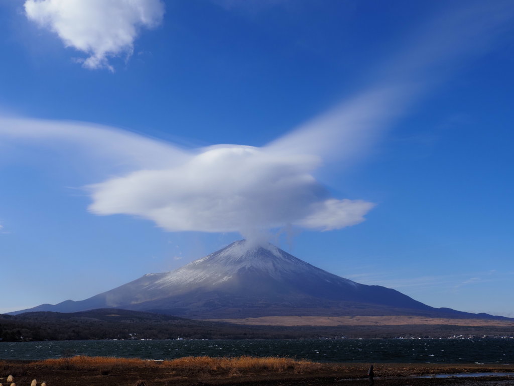 1/7 �_�ƕx�m�R(2)