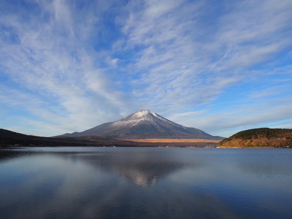 1/8 �^���ȋ�ƕx�m�R