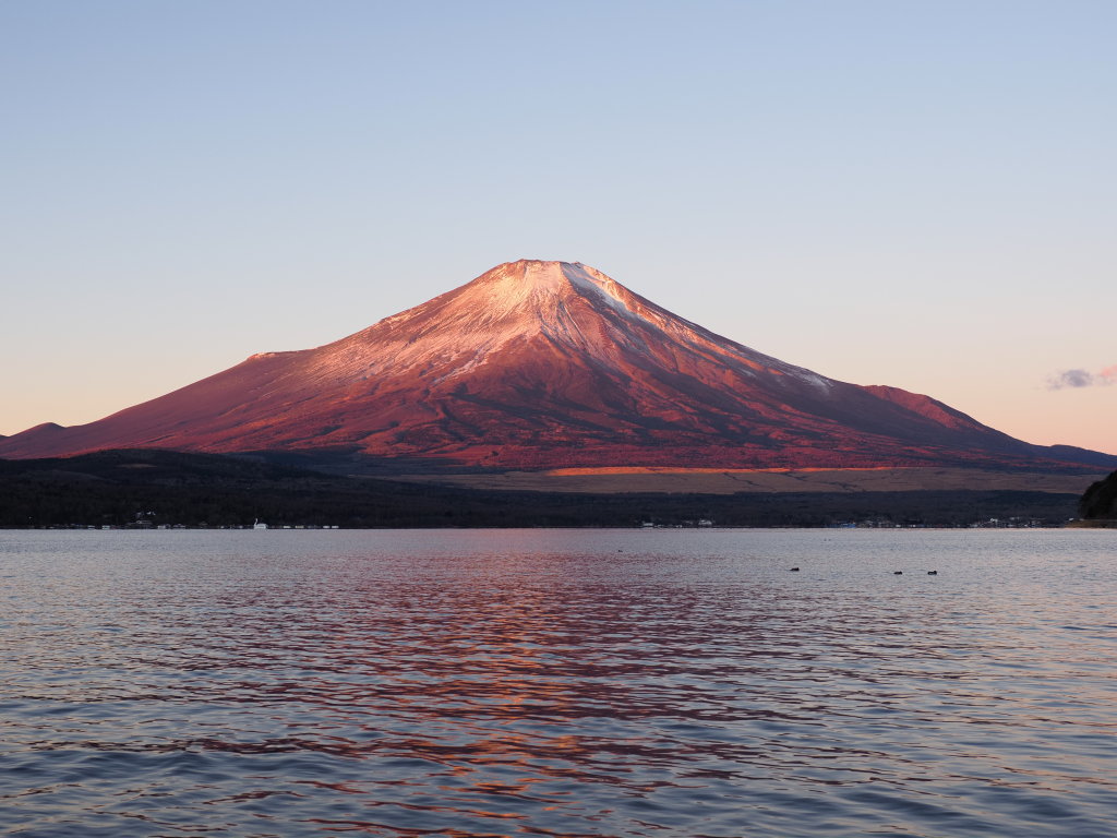 1/9 ���Ă��̕x�m�R