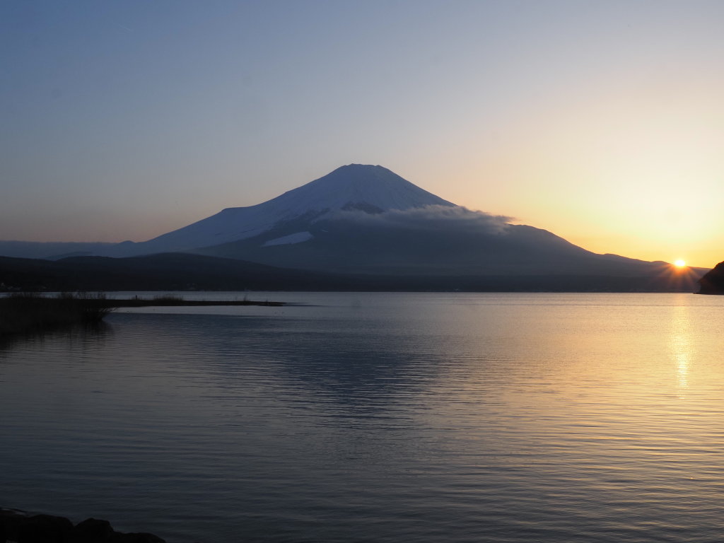 3/23 ���̓���̕x�m�R