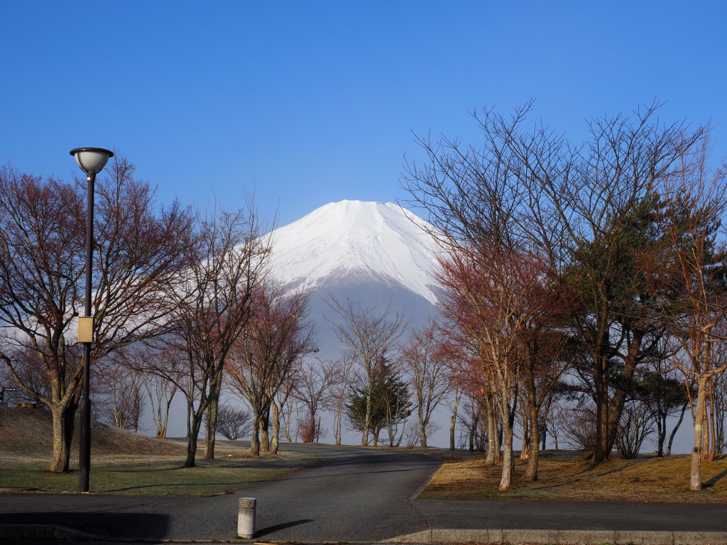 3/24 �K�X���؂��