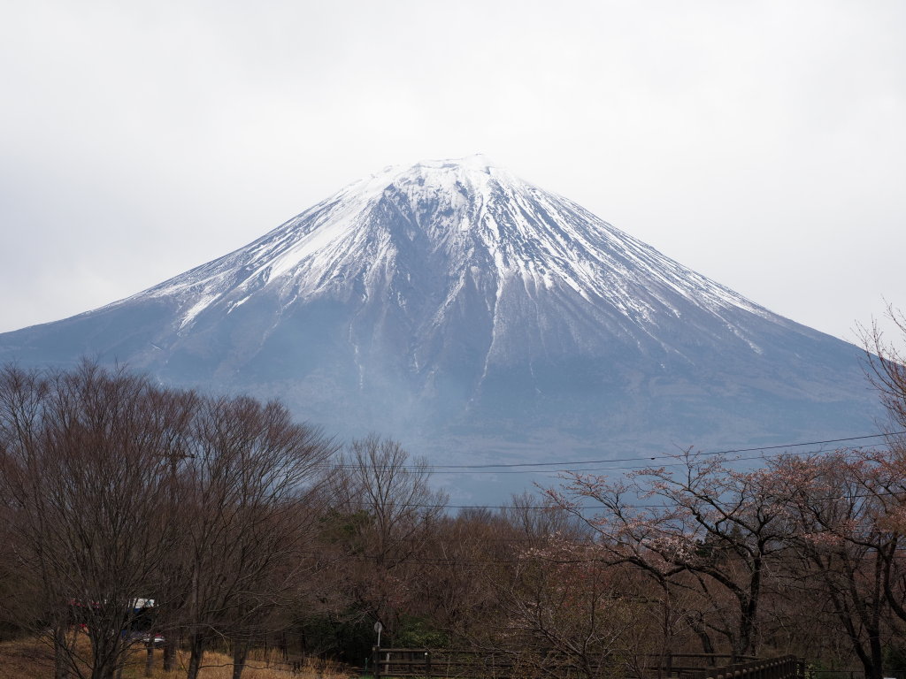 3/25 �c�ь΂���̕x�m�R