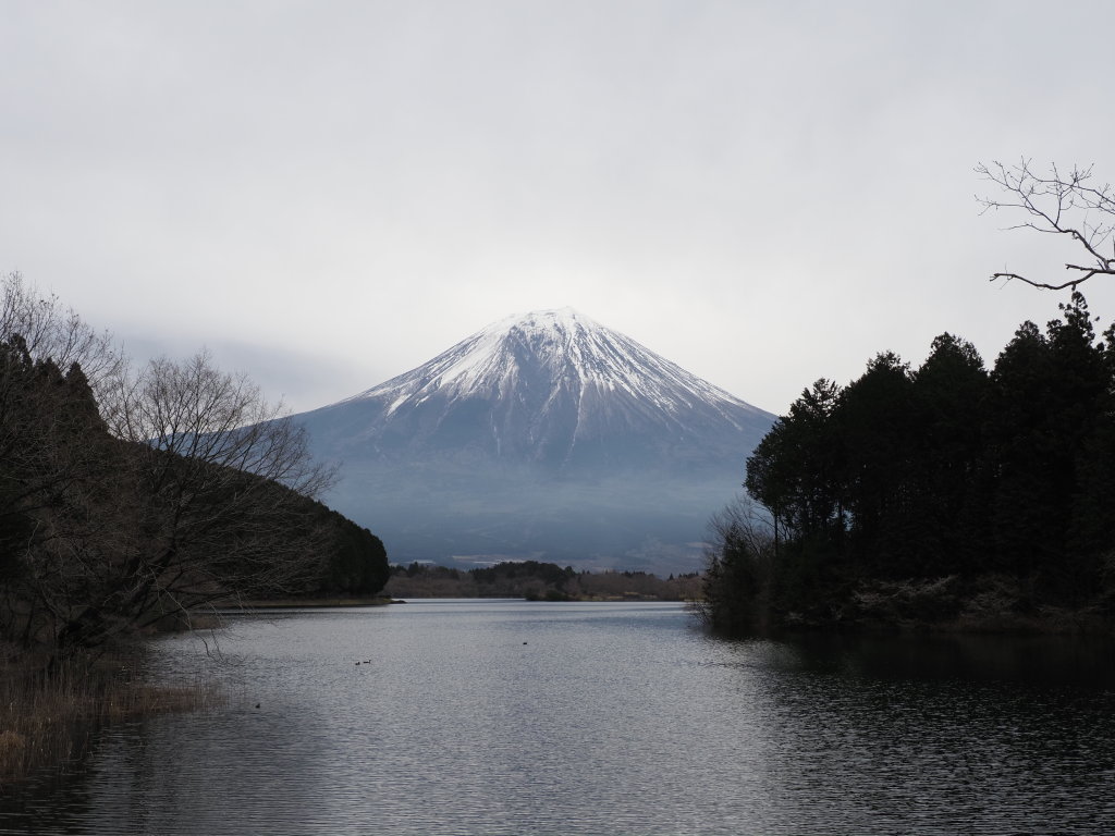 3/25 �x�ɑ�����̕x�m�R