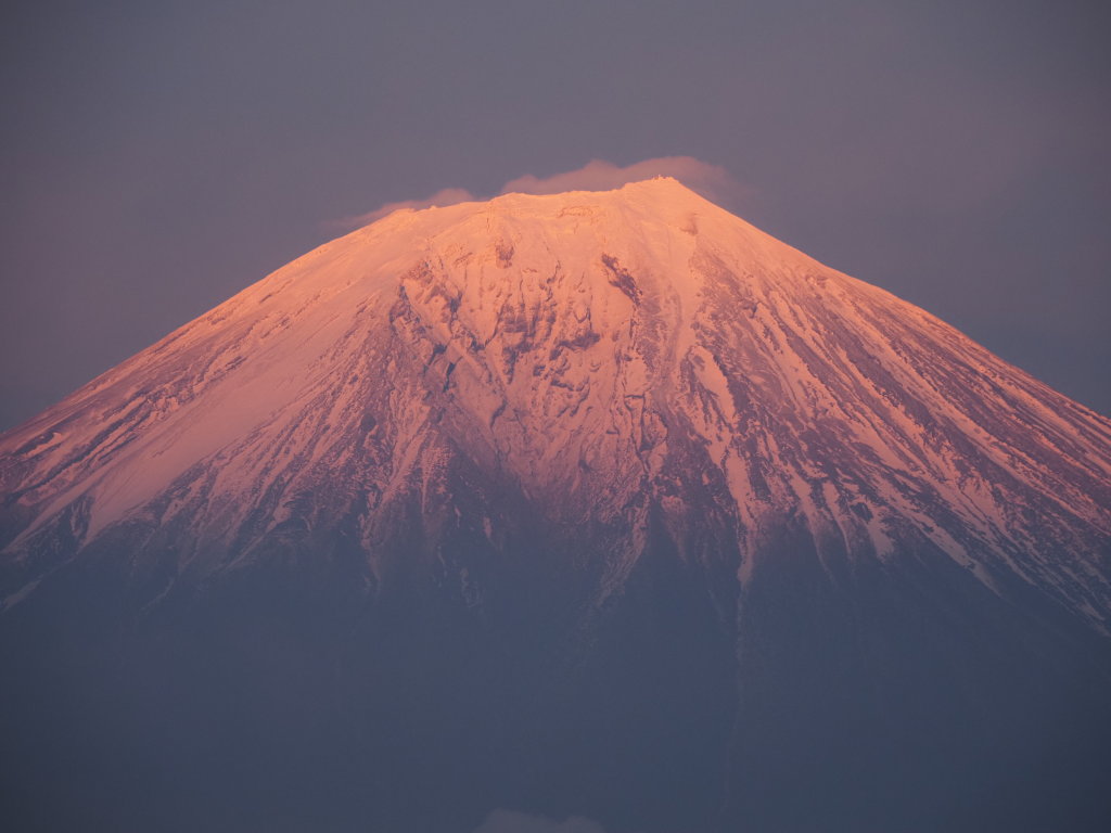 3/25 �c�ь΂���̗[�Ă�