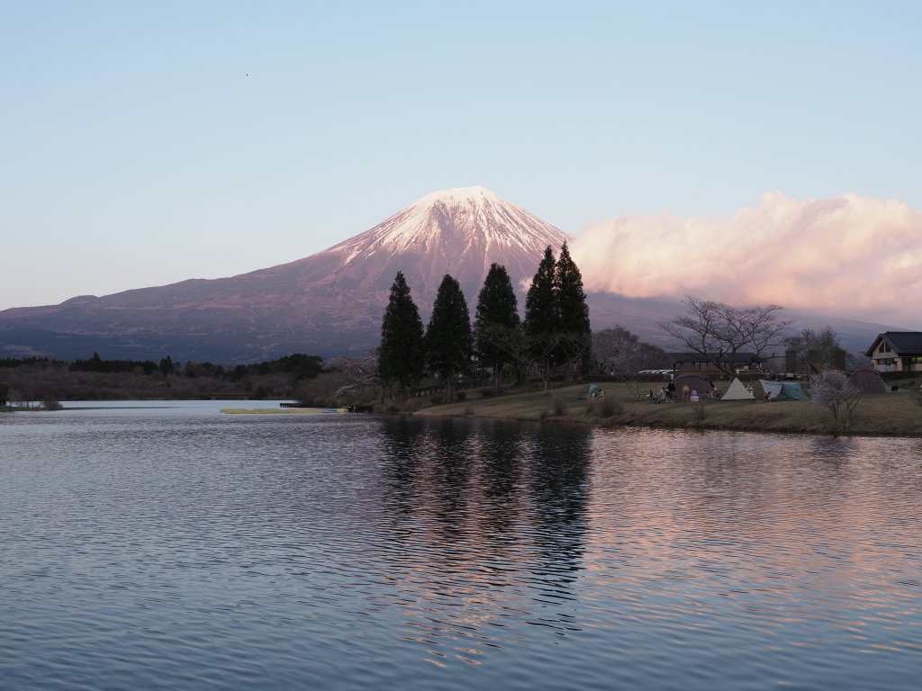 3/26 �c�ь΂���̗[�Ă�