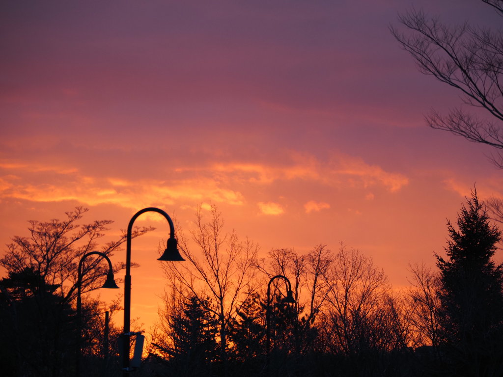 4/7 ����܂�