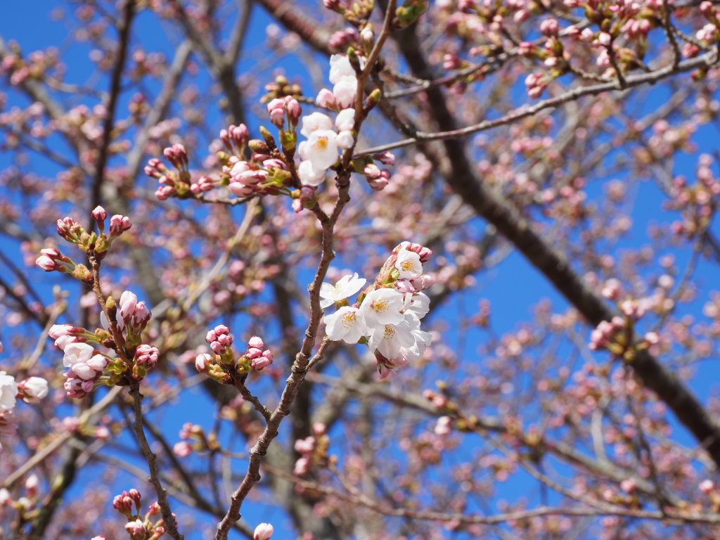 4/7 ���J��