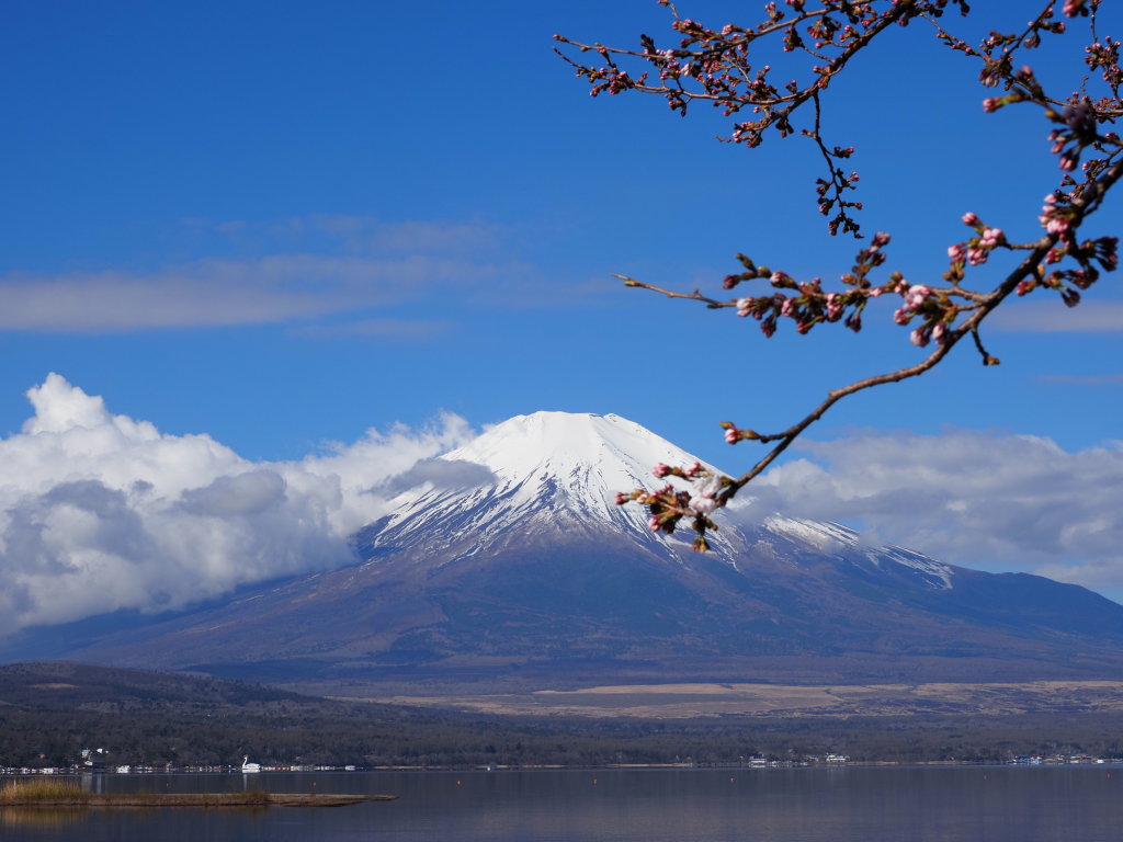 4/7 ���ƕx�m�R