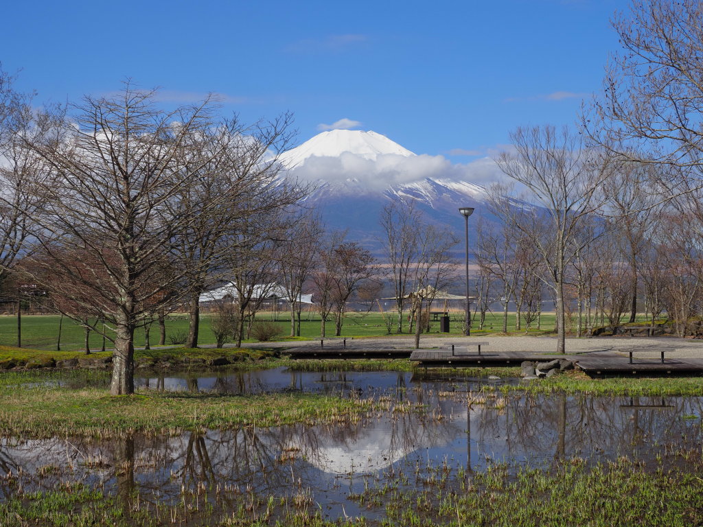 4/7 �t���x�m