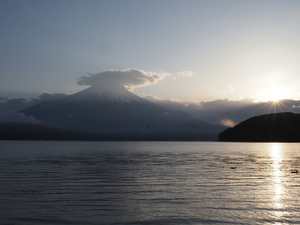 4/7 ���̓���̕x�m�R