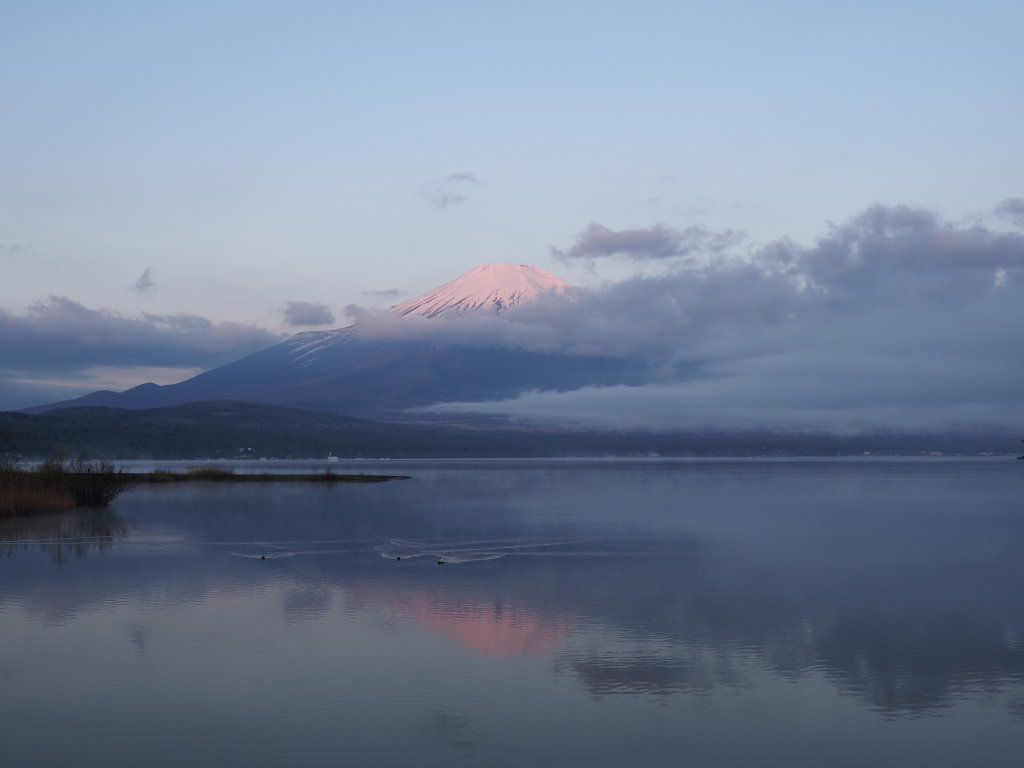 4/8 �R���Ɍ����