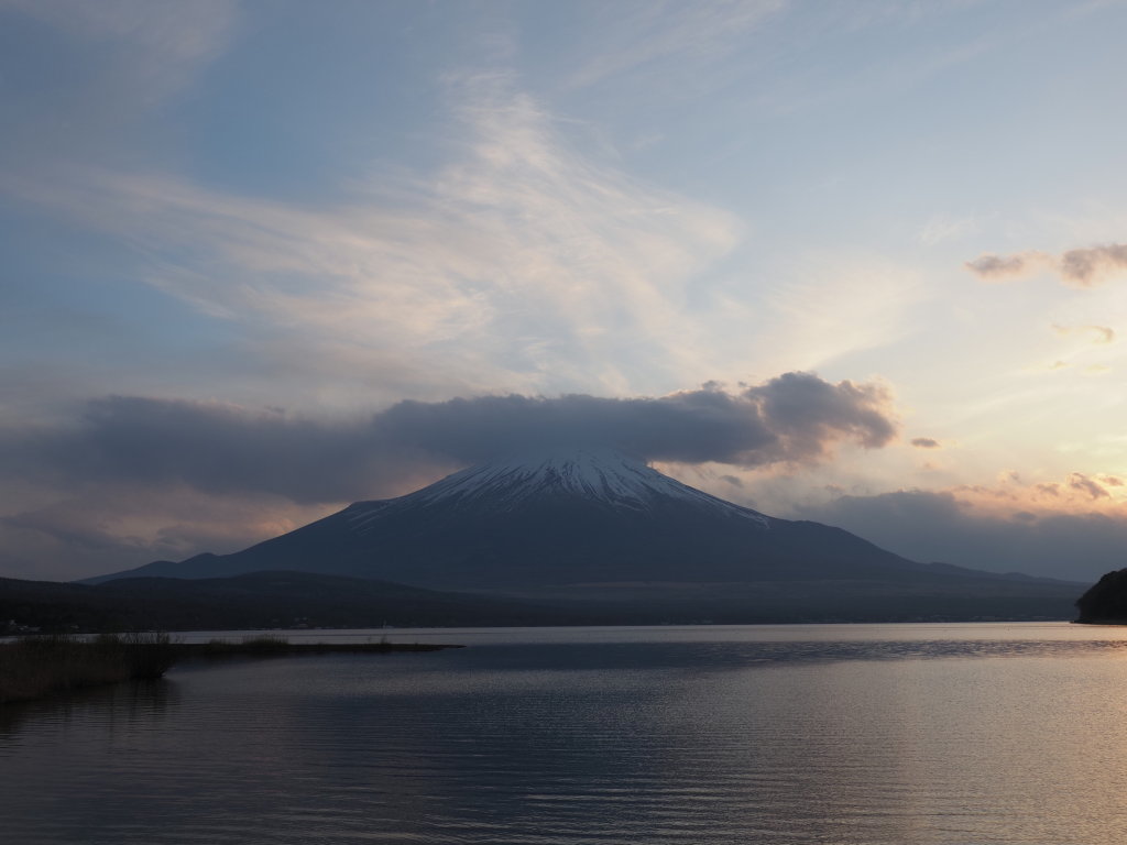 4/8 ���̓���̕x�m�R