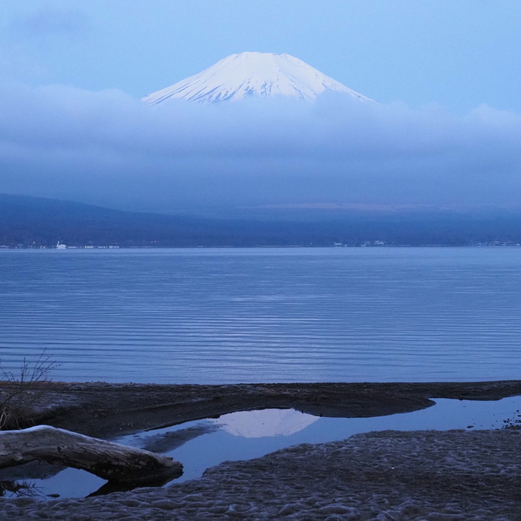 4/9 �t���x�m